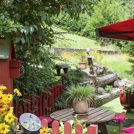 Gite Chez Mimie Breitenbach-Haut-Rhin Екстериор снимка