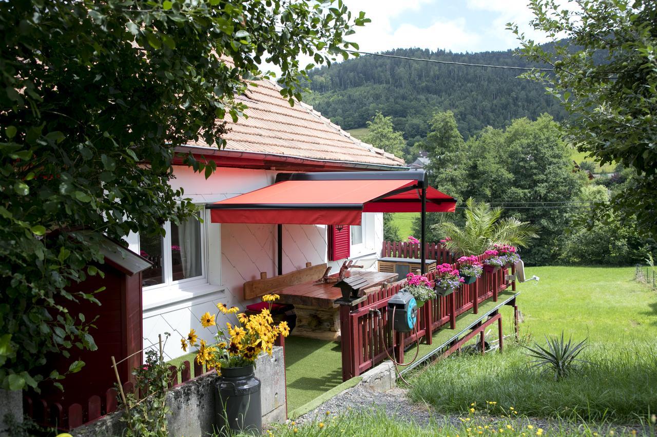 Gite Chez Mimie Breitenbach-Haut-Rhin Екстериор снимка