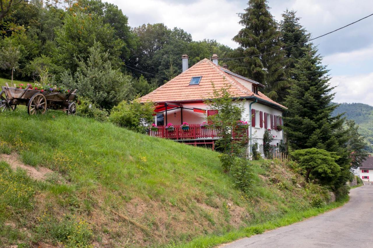 Gite Chez Mimie Breitenbach-Haut-Rhin Екстериор снимка