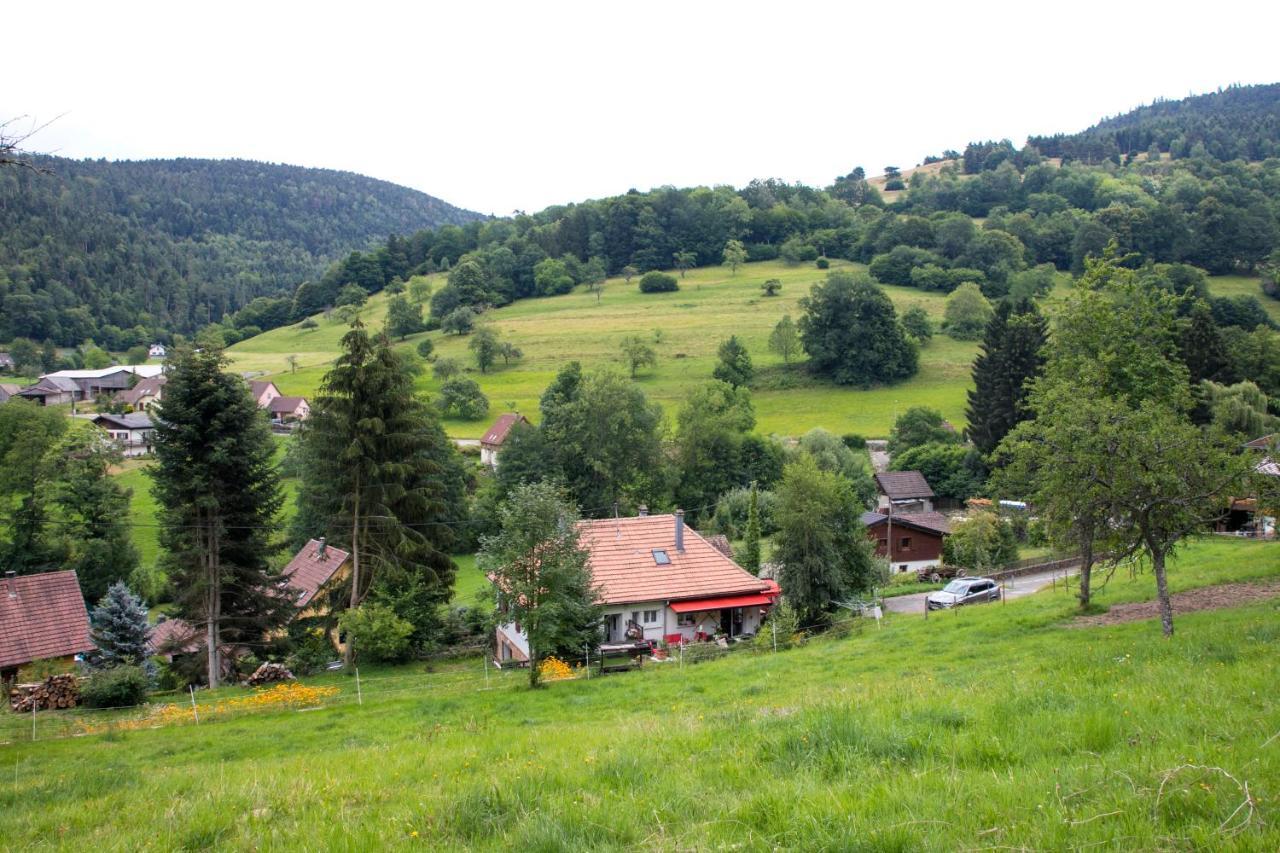 Gite Chez Mimie Breitenbach-Haut-Rhin Екстериор снимка