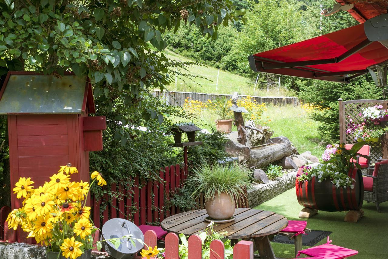 Gite Chez Mimie Breitenbach-Haut-Rhin Екстериор снимка