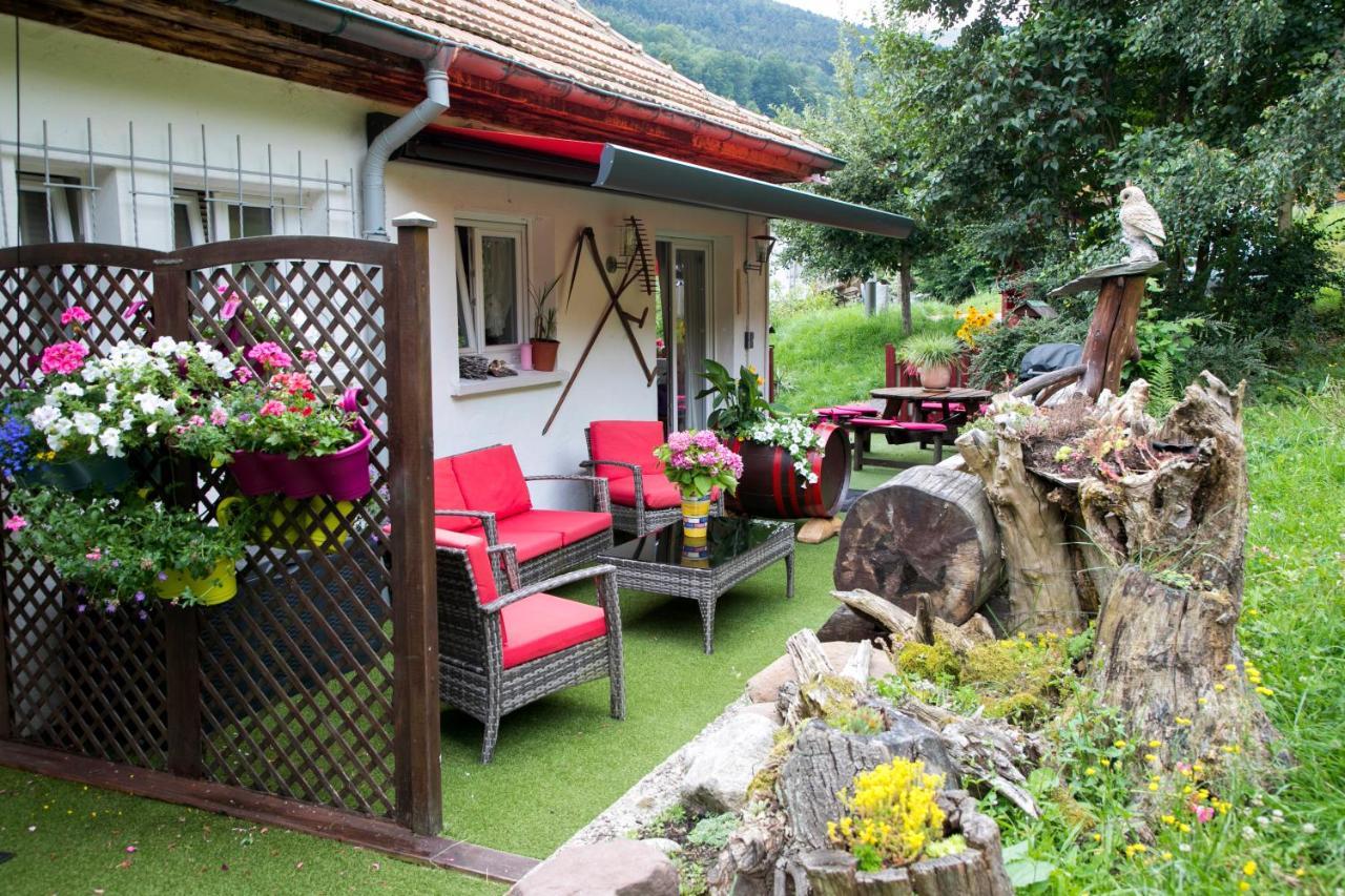 Gite Chez Mimie Breitenbach-Haut-Rhin Екстериор снимка